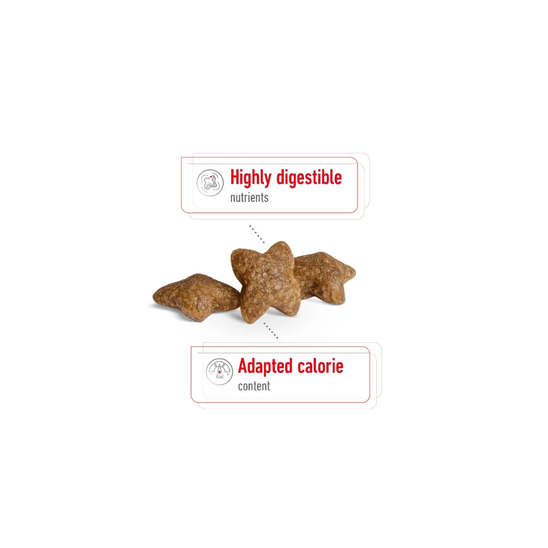 Royal Canin Mini Adult 8kg
