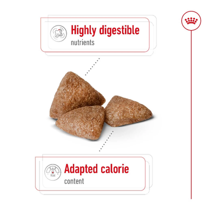 Royal Canin Mini Indoor Adult 1.5kg