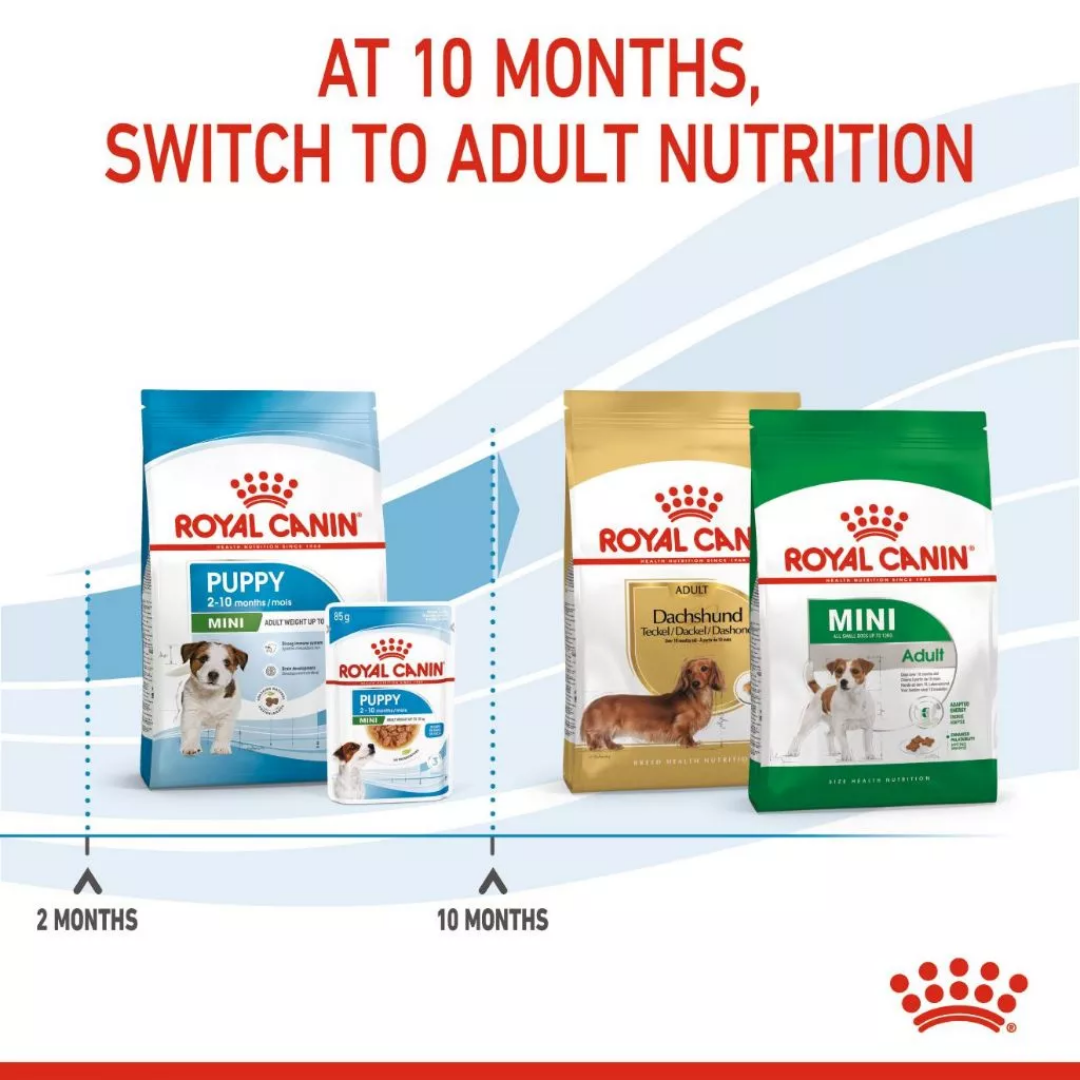 Royal Canin Mini Puppy 2kg