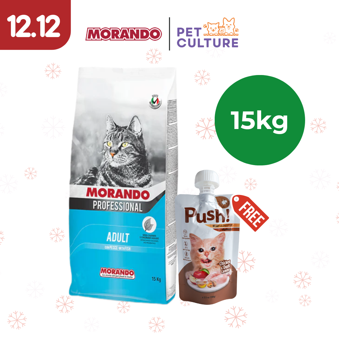 Morando Professional Cat Adult With Fish 15kg w/ Push! Cat Wet Food Chicken & Duck Combo (Heart & Digestive w/ Postbiotics) 100g