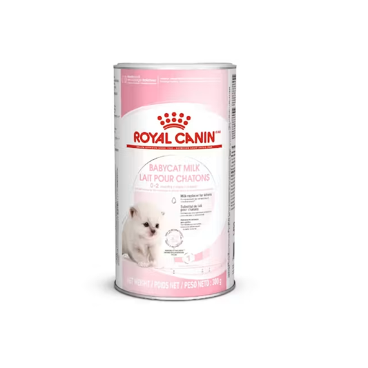 Royal Canin Feline Health Nutrition Babycat Milk 300g