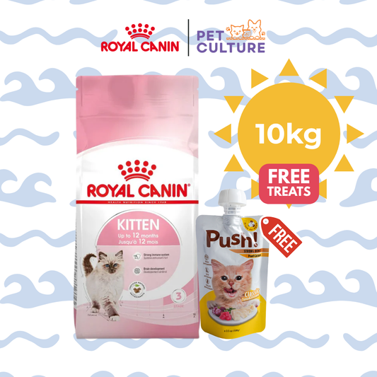 Royal Canin Kitten36 10kg w/ Push! Cat Wet Food Classic Tuna & Shirazu (Strong Bones w/ Pearl Calcium) 100g
