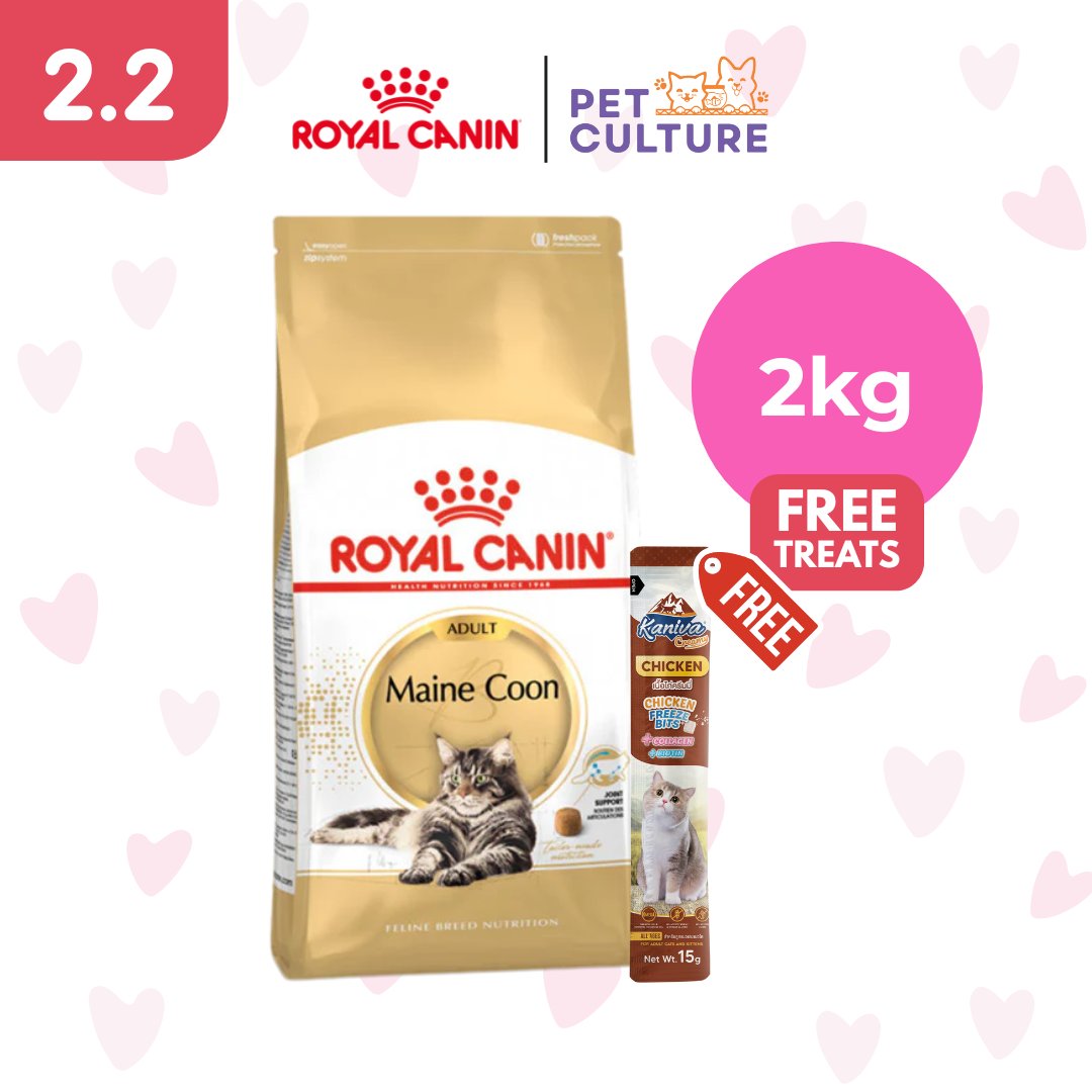 Royal Canin Maine Coon Adult 2kg w/ KANIVA Creamy Tuna Topping Chicken + Chicken Freeze Bit 15g