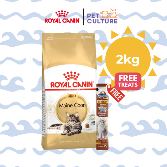 Royal Canin Maine Coon Adult 2kg w/ KANIVA Creamy Tuna Topping Chicken + Chicken Freeze Bit 15g