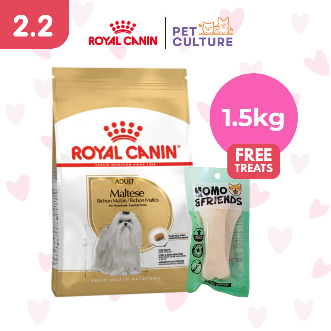 Royal Canin Maltese Adult 1.5kg w/ Momo & Friends Dog Chew Treats 4-inch Flat Bone 30g