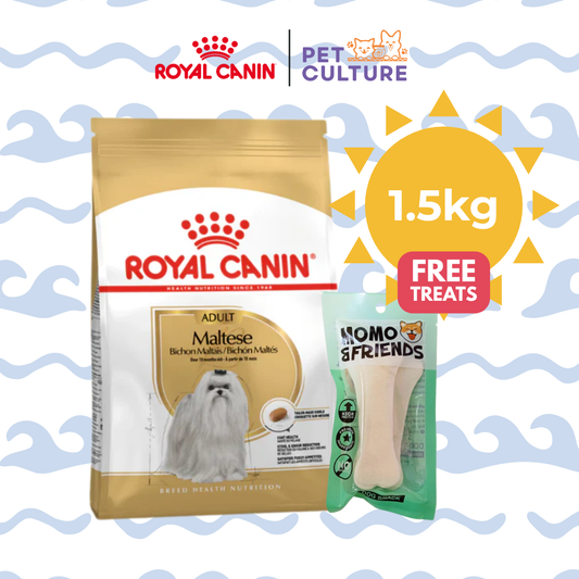 Royal Canin Maltese Adult 1.5kg w/ Momo & Friends Dog Chew Treats 4-inch Flat Bone 30g
