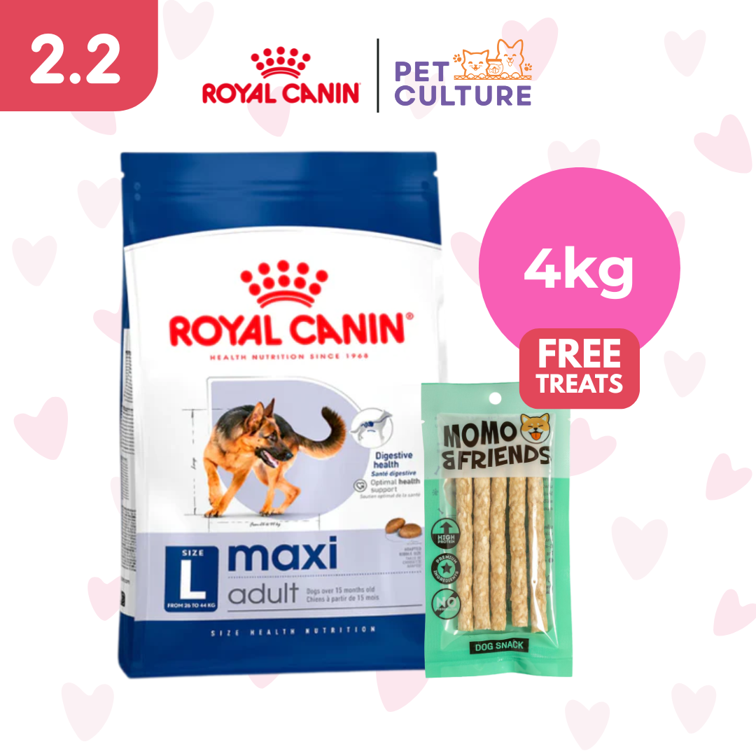 Royal Canin Maxi Adult 4kg w/ Momo & Friends Dog Chew Treats Crunchy Stick 65g