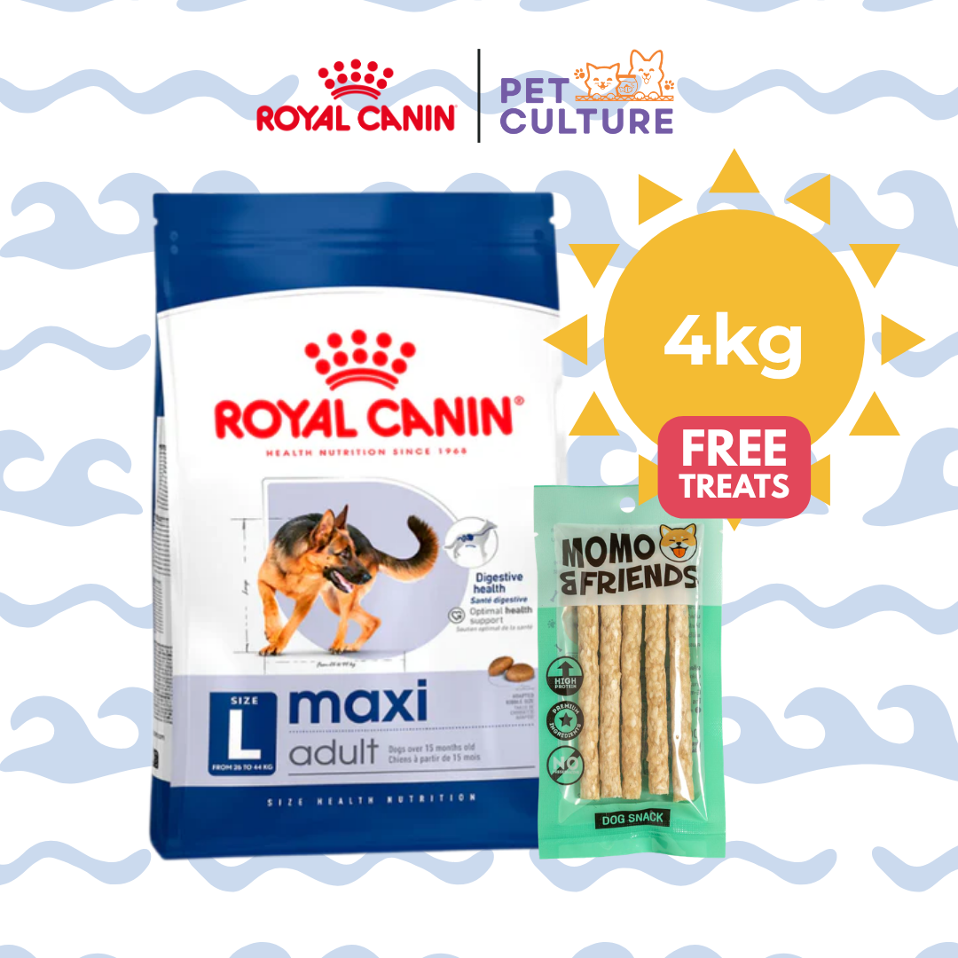 Royal Canin Maxi Adult 4kg w/ Momo & Friends Dog Chew Treats Crunchy Stick 65g