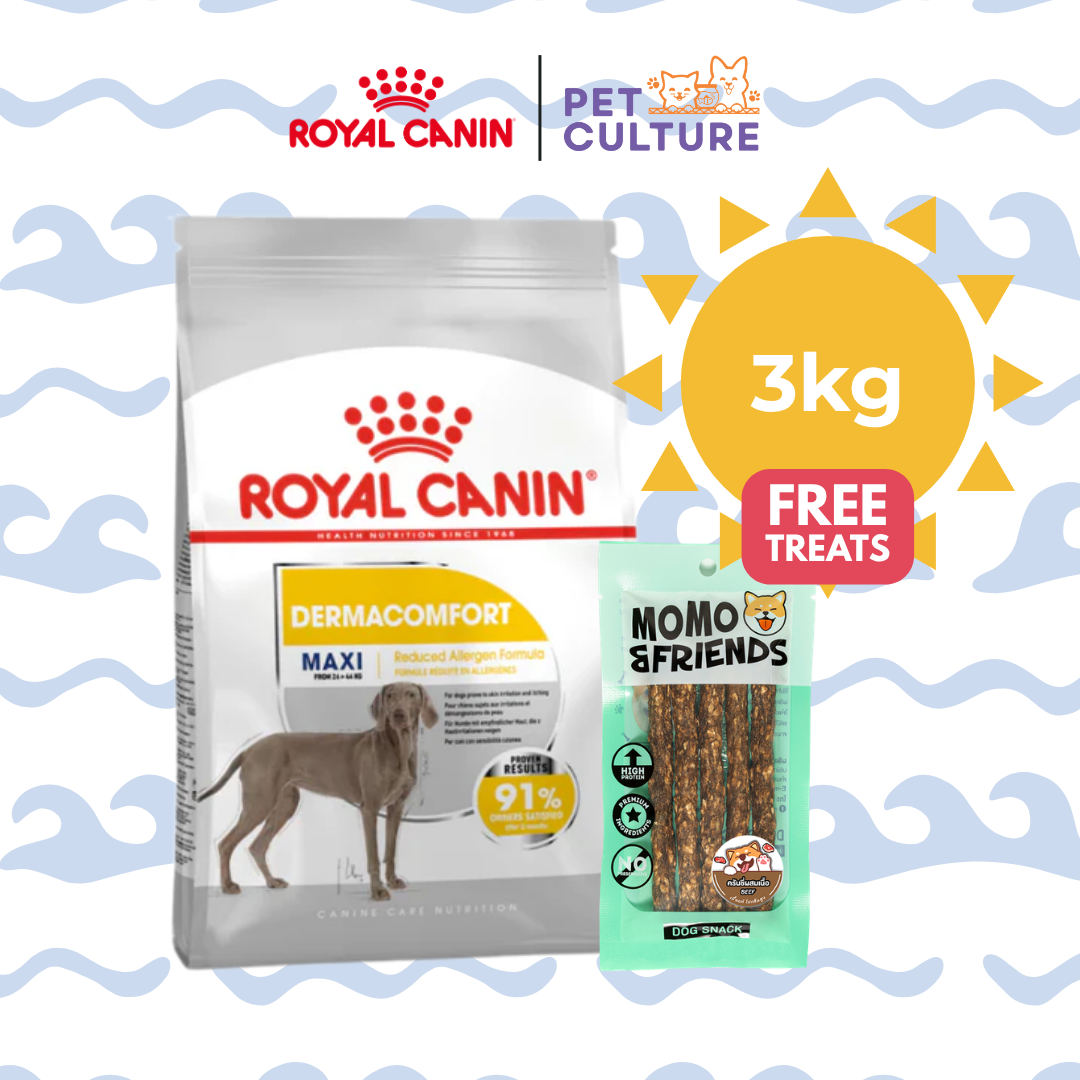 Royal Canin Maxi Dermacomfort 3kgs w/ Momo & Friends Dog Chew Treats Crunchy Baked Meat Beef 55g