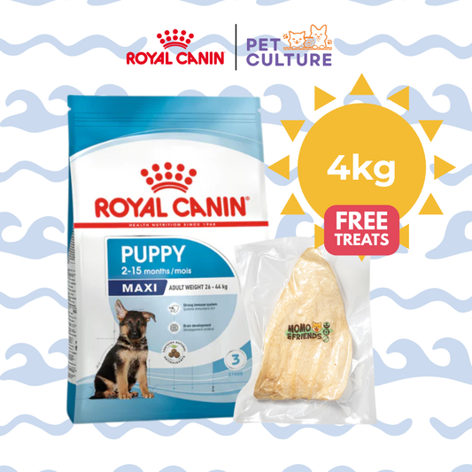 Royal Canin Maxi Puppy 4kg w/ Momo & Friends Dog Chew Treats Cow Ear 35g