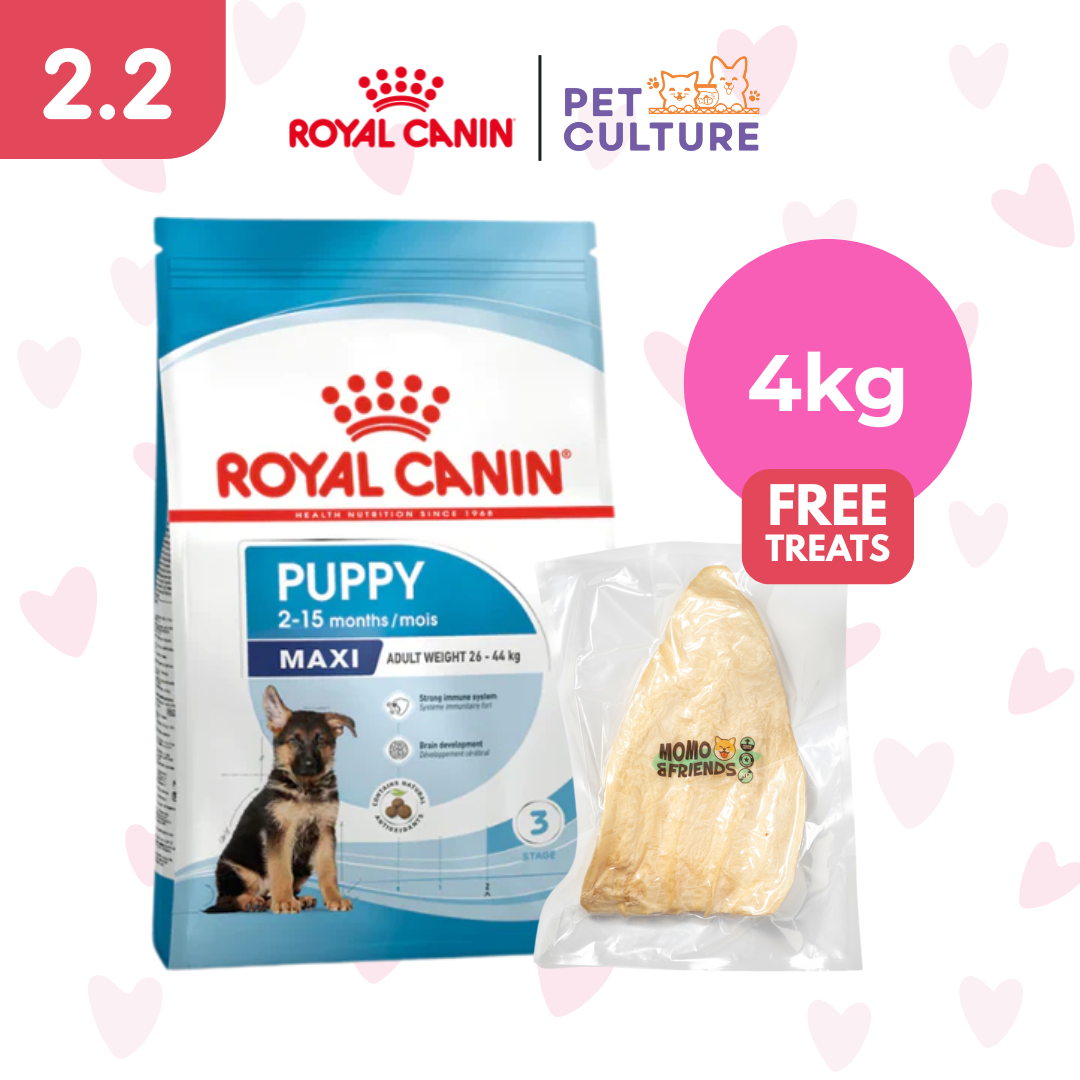 Royal Canin Maxi Puppy 4kg w/ Momo & Friends Dog Chew Treats Cow Ear 35g