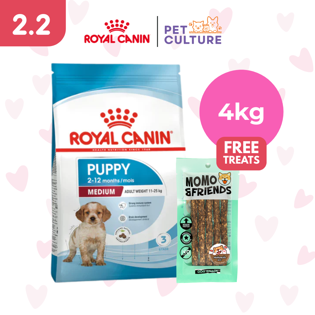 Royal Canin Medium Puppy 4kg w/ Momo & Friends Dog Chew Treats Crunchy Baked Meat Beef 55g