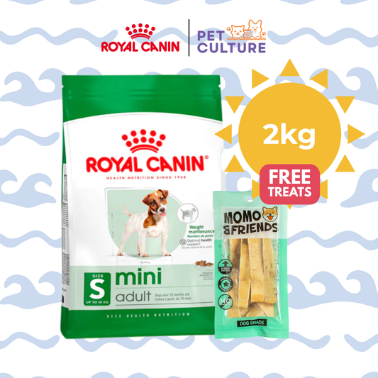 Royal Canin Mini Adult 2kg w/ Momo & Friends Dog Chew Treats Cow Ear Cone 20g