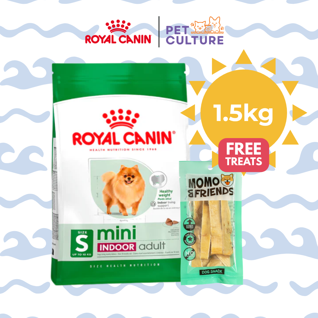 Royal Canin Mini Indoor Adult 1.5kg w/ Momo & Friends Dog Chew Treats Cow Ear Cone 20g