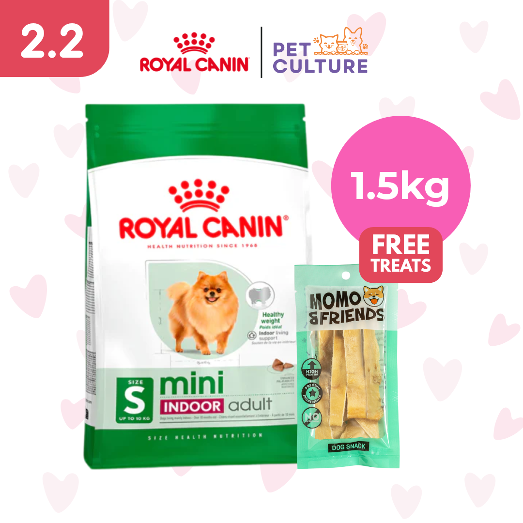 Royal Canin Mini Indoor Adult 1.5kg w/ Momo & Friends Dog Chew Treats Cow Ear Cone 20g