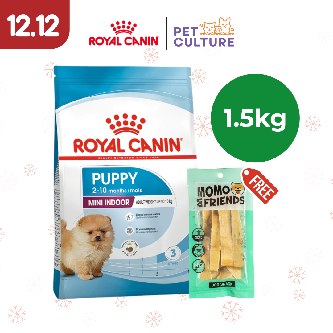 Royal Canin Mini Indoor Puppy 1.5kg w/ Momo & Friends Dog Chew Treats Cow Ear Cone 20g