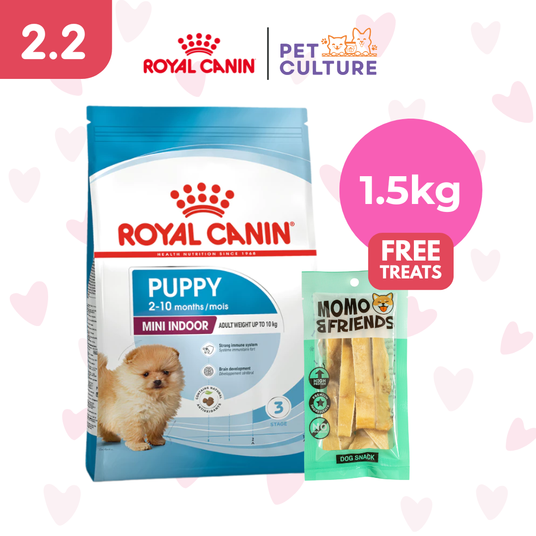 Royal Canin Mini Indoor Puppy 1.5kg w/ Momo & Friends Dog Chew Treats Cow Ear Cone 20g