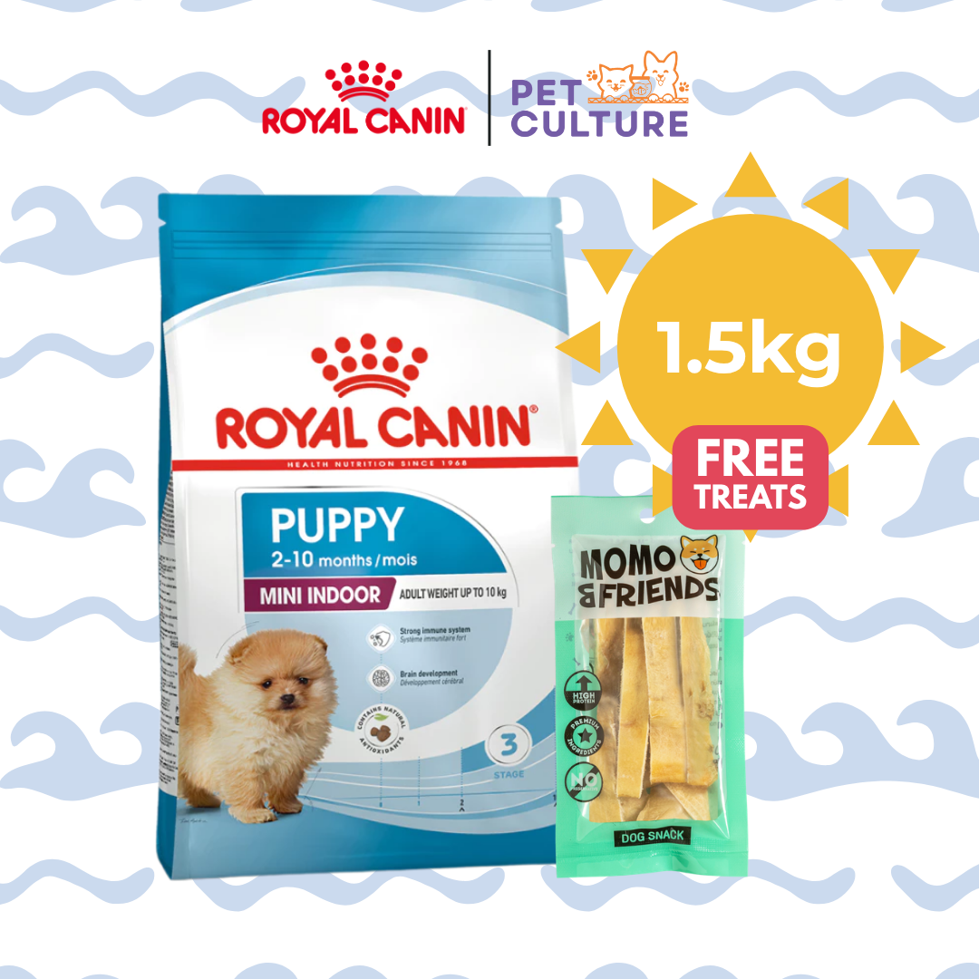 Royal Canin Mini Indoor Puppy 1.5kg w/ Momo & Friends Dog Chew Treats Cow Ear Cone 20g