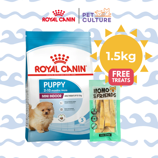 Royal Canin Mini Indoor Puppy 1.5kg w/ Momo & Friends Dog Chew Treats Cow Ear Cone 20g