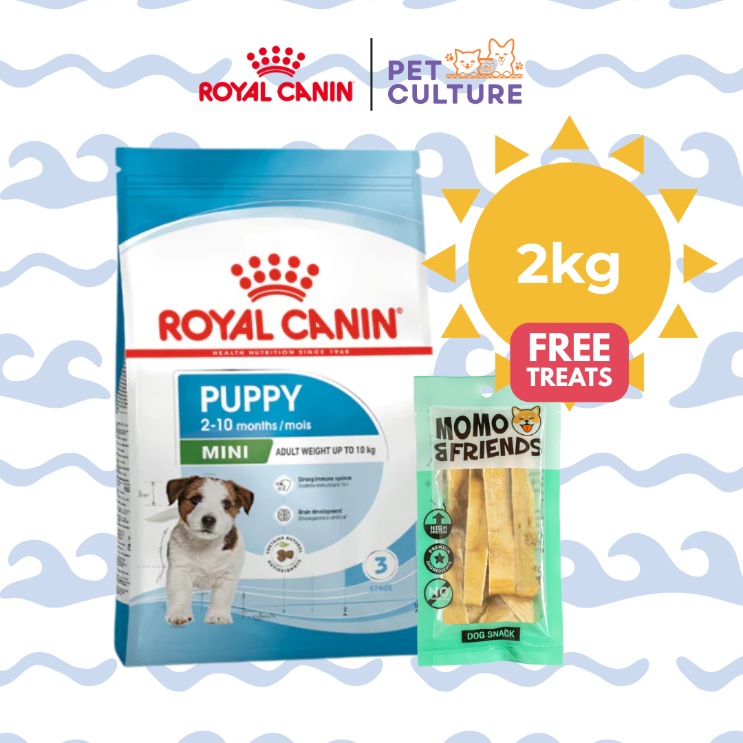 Royal Canin Mini Puppy 2kg w/ Momo & Friends Dog Chew Treats Cow Ear Cone 20g