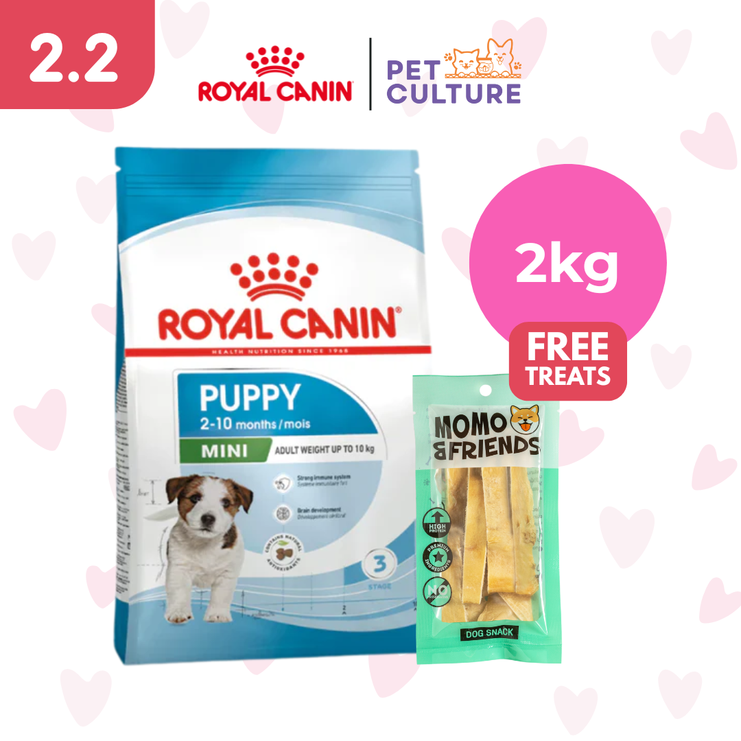 Royal Canin Mini Puppy 2kg w/ Momo & Friends Dog Chew Treats Cow Ear Cone 20g