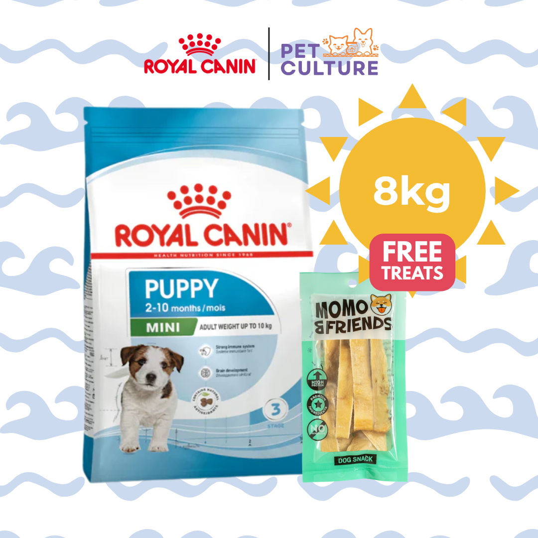 Royal Canin Mini Puppy 8kg w/ Momo & Friends Dog Chew Treats Cow Ear Cone 20g