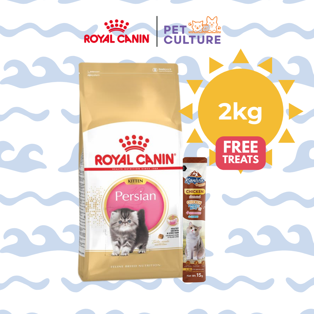 Royal Canin Persian Kitten 2kg w/ KANIVA Creamy Tuna Topping Chicken + Chicken Freeze Bit 15g