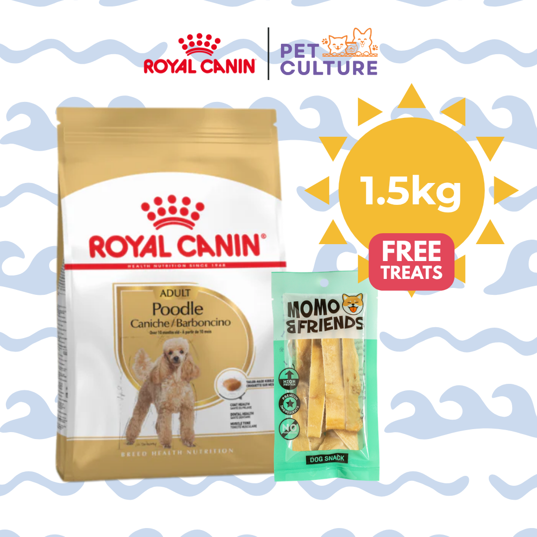 Royal Canin Poodle Adult 1.5kg w/ Momo & Friends Dog Chew Treats Cow Ear Cone 20g