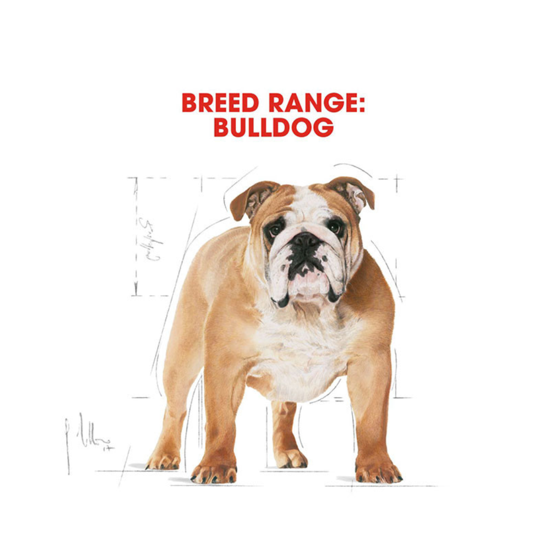 Royal Canin Breed Health Nutrition Bulldog 3kg
