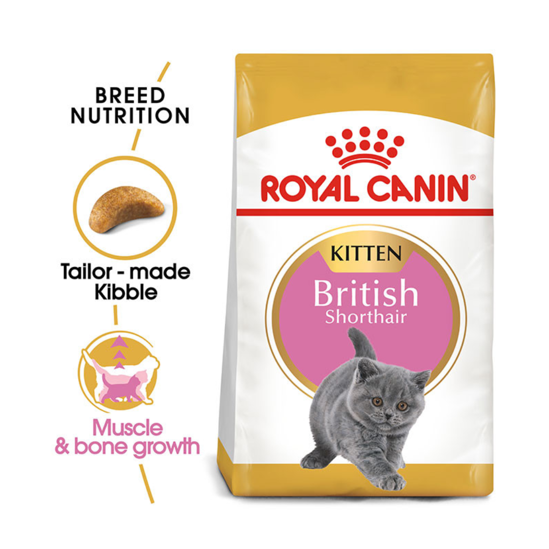Royal Canin Feline Breed Nutrition British Shorthair Kitten 400g
