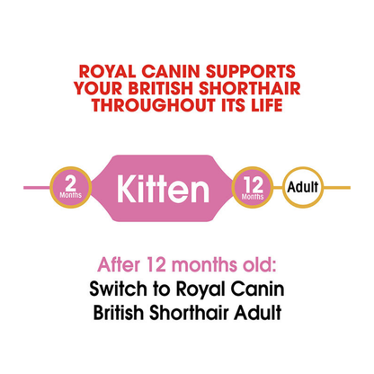 Royal Canin Feline Breed Nutrition British Shorthair Kitten 400g