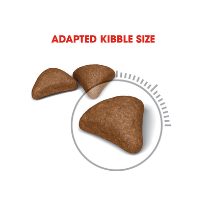 Royal Canin Feline Care Nutrition Hairball Care 10kg