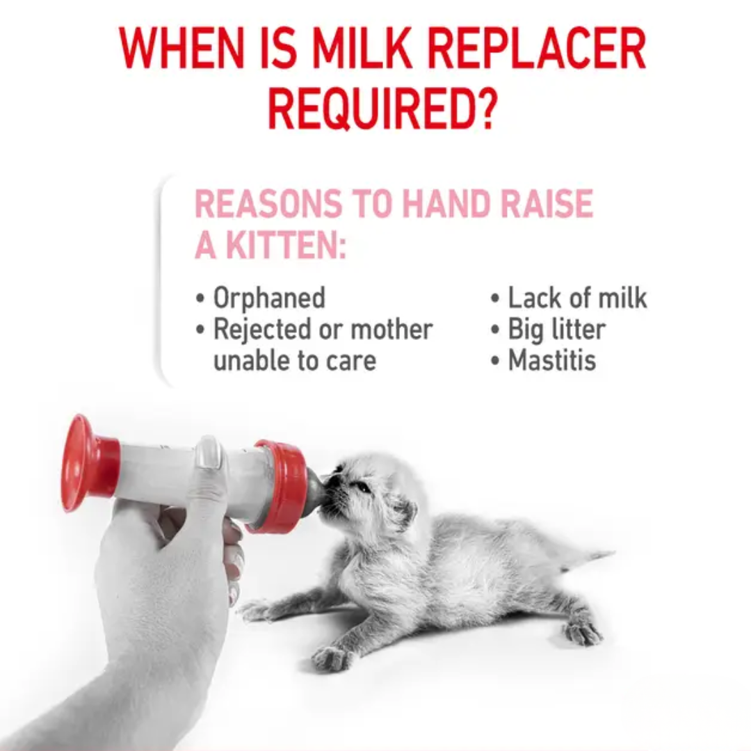 Royal Canin Feline Health Nutrition Babycat Milk 300g