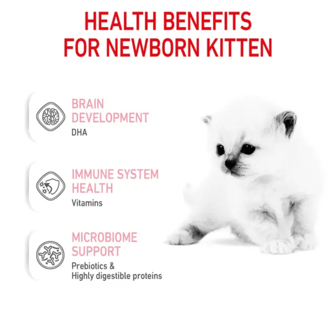 Royal Canin Feline Health Nutrition Babycat Milk 300g