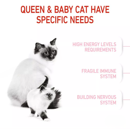 Royal Canin Feline Health Nutrition Mother & Babycat 400g