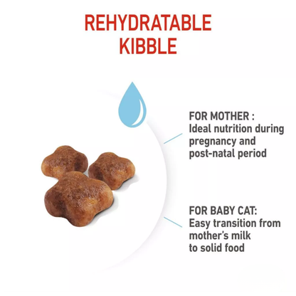 Royal Canin Feline Health Nutrition Mother & Babycat 400g