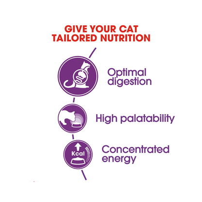 Royal Canin Feline Health Nutrition Sensible 33 4kg