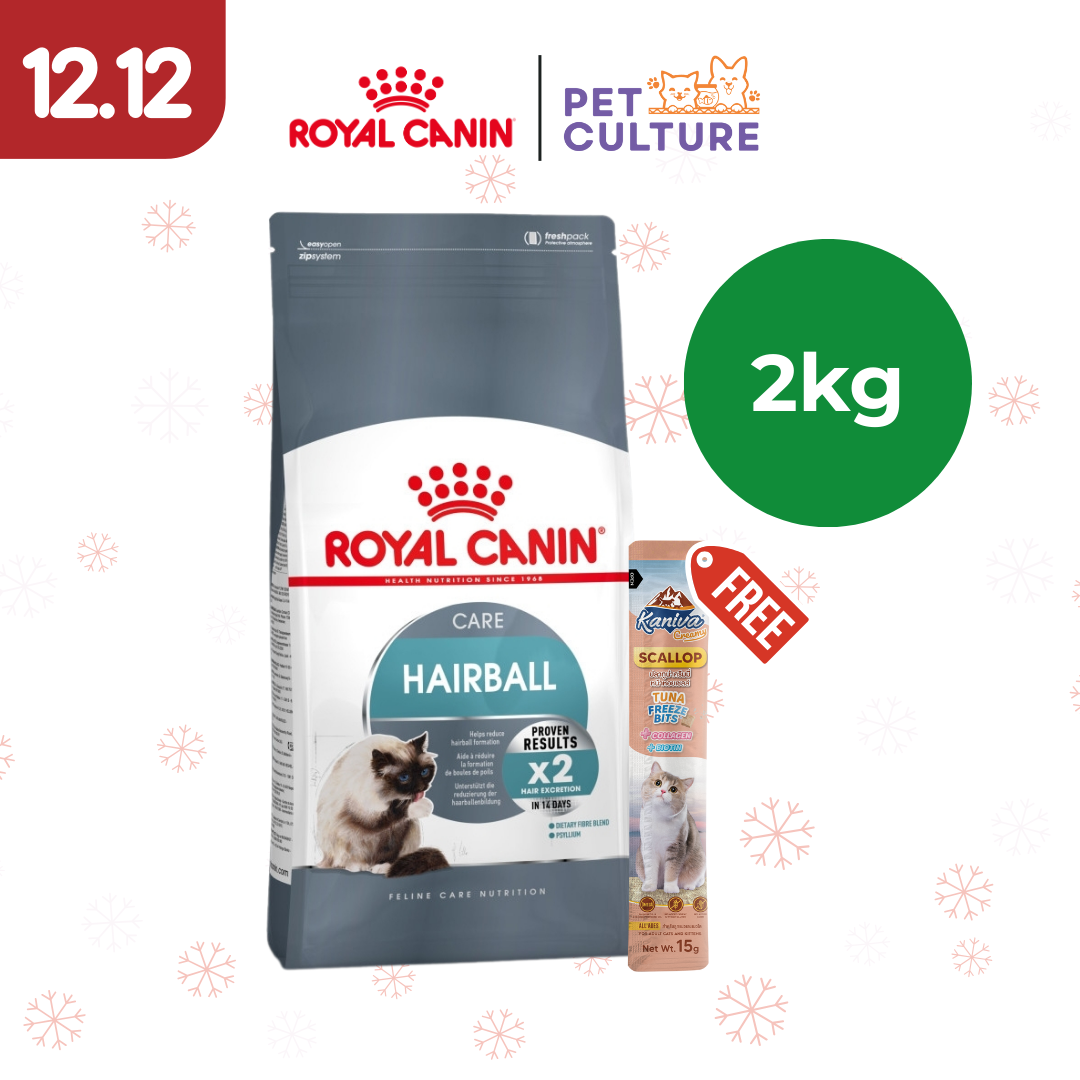 Royal Canin Hairball Care 2kg w/ KANIVA Creamy Tuna Topping Scallop + Tuna Freeze Bit 15g