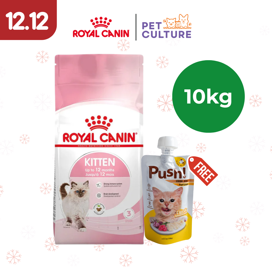 Royal Canin Kitten36 10kg w/ Push! Cat Wet Food Classic Tuna & Shirazu (Strong Bones w/ Pearl Calcium) 100g