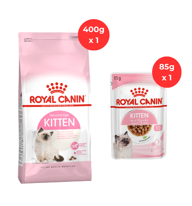 Royal Canin Kitten36