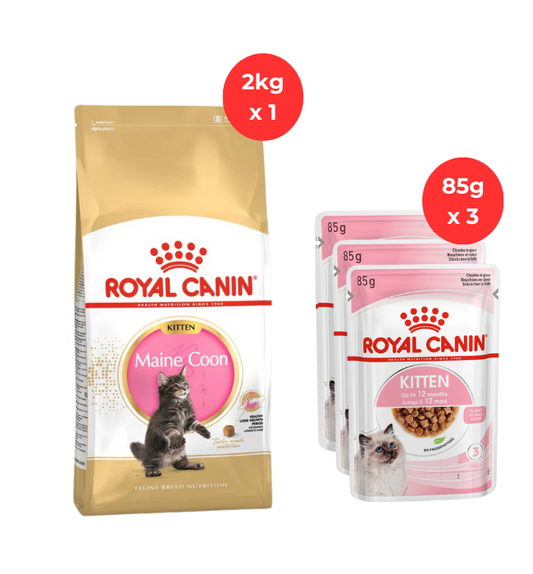 Royal Canin Maine Coon Kitten 2k + Kitten 3pcs 85g Wet Food