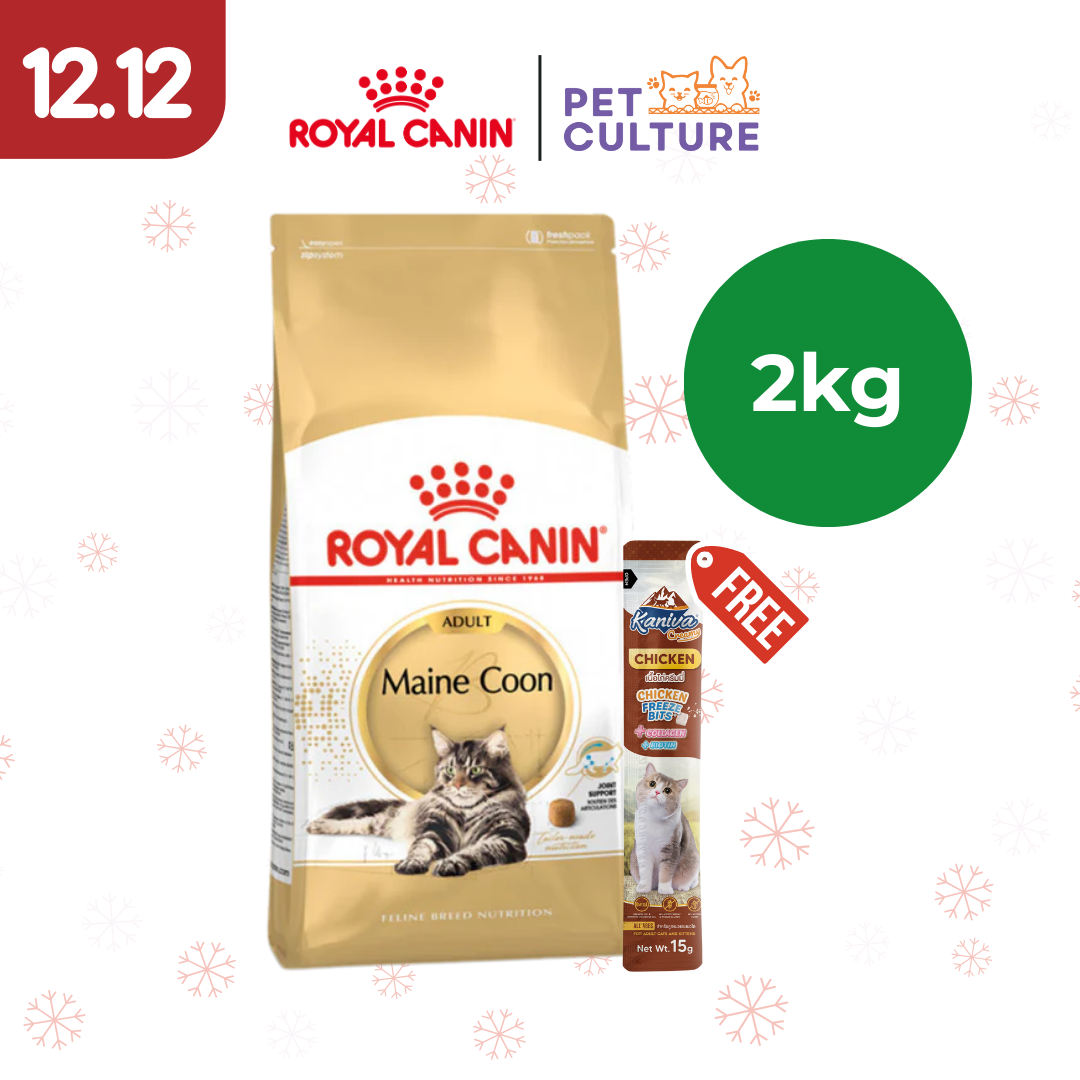Royal Canin Maine Coon Adult 2kg w/ KANIVA Creamy Tuna Topping Chicken + Chicken Freeze Bit 15g