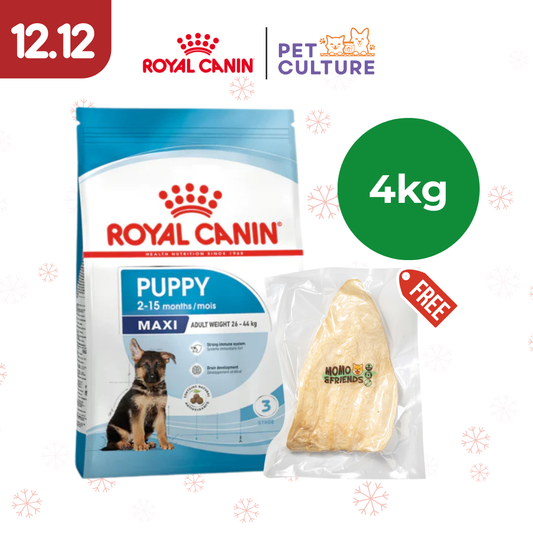 Royal Canin Maxi Puppy 4kg w/ Momo & Friends Dog Chew Treats Cow Ear 35g