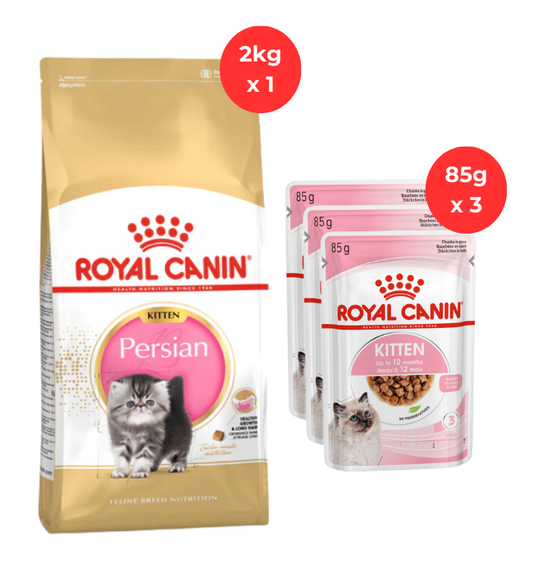 Royal Canin Persian Kitten 2kg + 3pcs 85g Wet Food