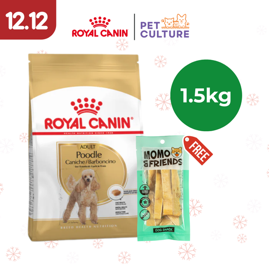 Royal Canin Poodle Adult 1.5kg w/ Momo & Friends Dog Chew Treats Cow Ear Cone 20g