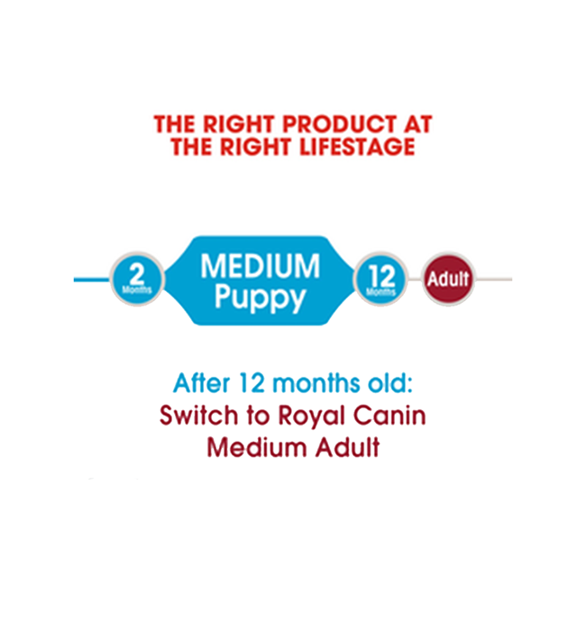 Royal Canin Medium Junior Puppy & Medium  Adult 4kg