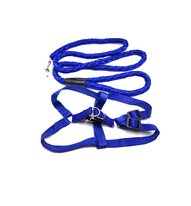 Strong Diamond Leash with Harness