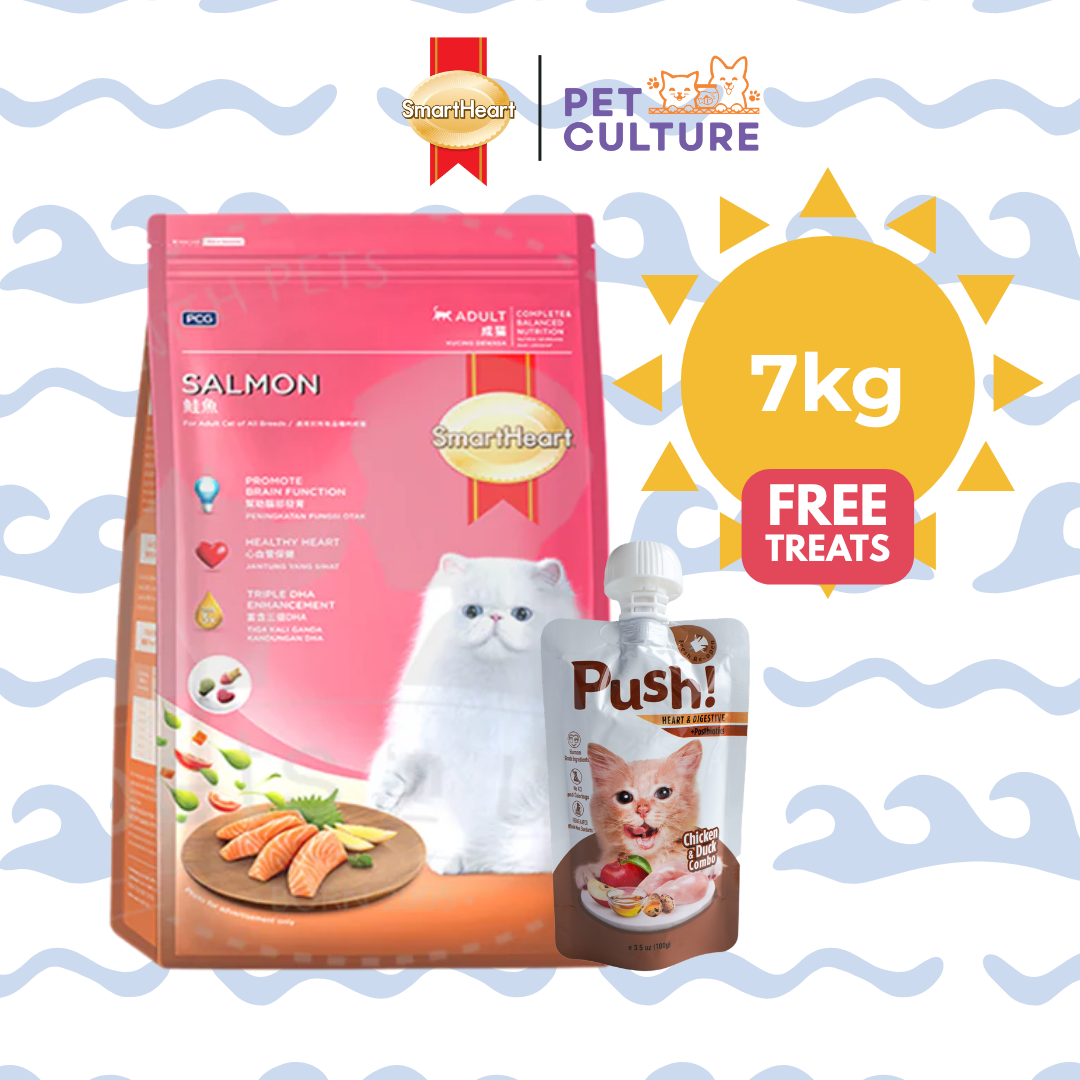 Smartheart Cat Dry Food Adult Salmon 7kg w/ Push! Cat Wet Food Chicken & Duck Combo (Heart & Digestive w/ Postbiotics) 100g