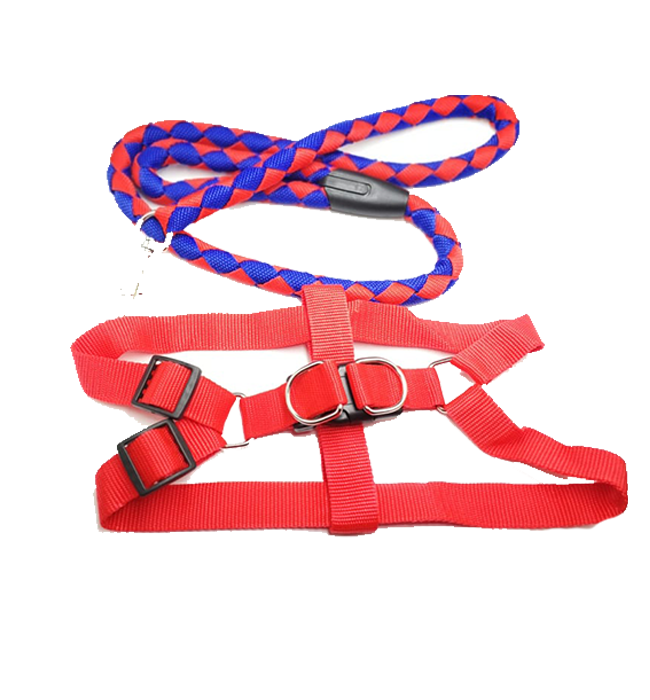 Strong Diamond Leash with Harness