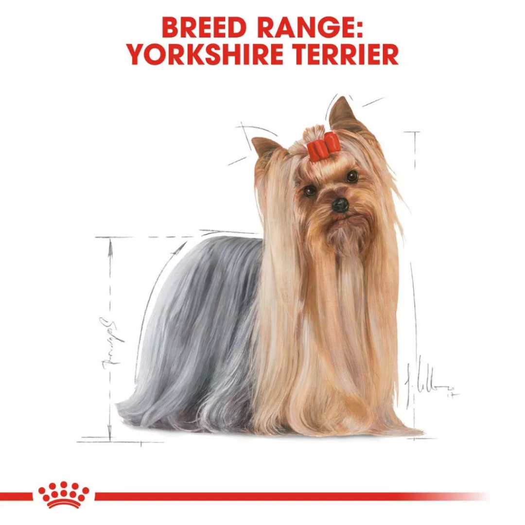 Royal Canin Yorkshire Terrier Adult 1.5kg